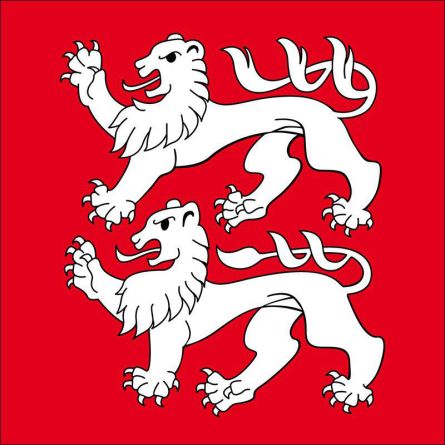 Zuzwil SG flag